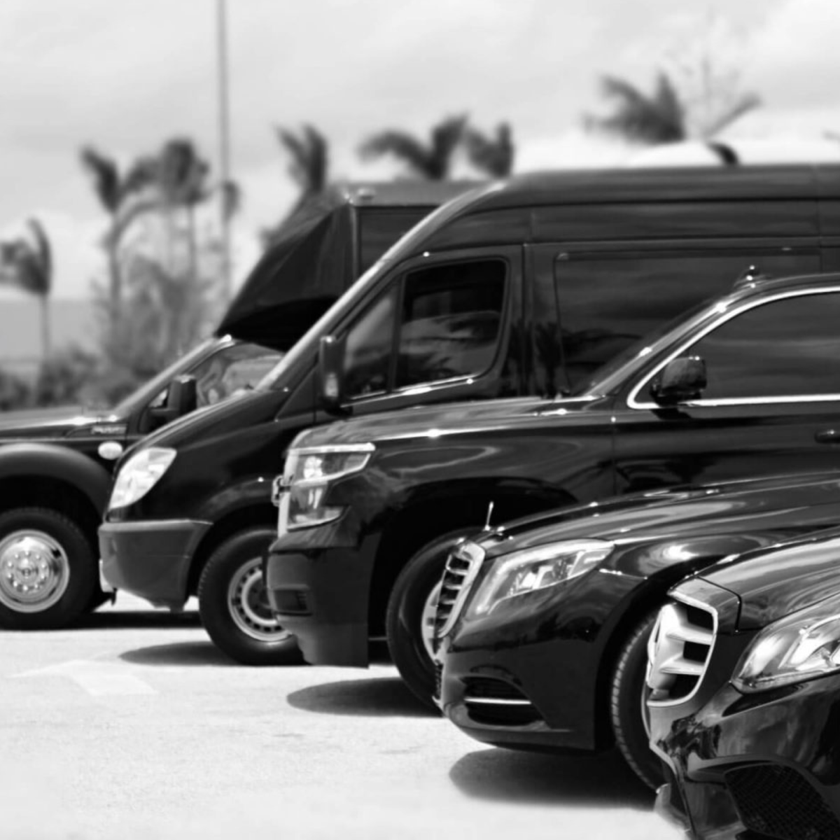 APEX Intl. Transp. (Los Angeles)